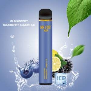 Blackberry Blueberry Lemon Ice 3