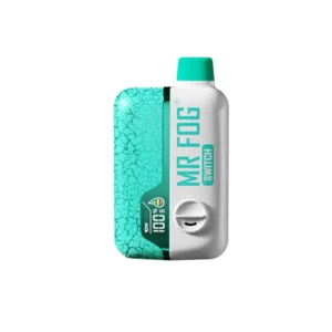 Nicotine Gum Mint SW15000